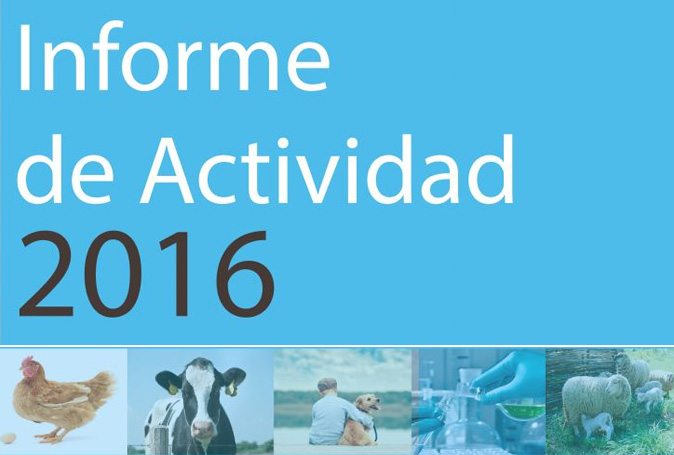 vetmasi, vet+i, informe anual 2016