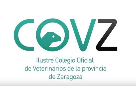 vetmasi, vet+i, colegio de veterinarios de zaragoza