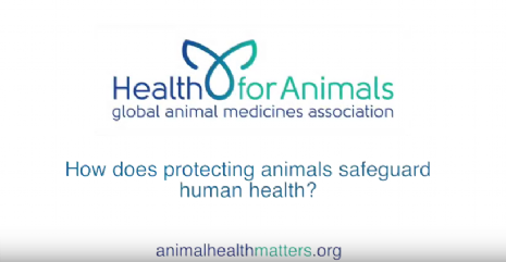 vdeo, vetmasi, human health, nutrition, one health, una salud, zoonosis, vet+i, fundacion, sanidad animal, animal health