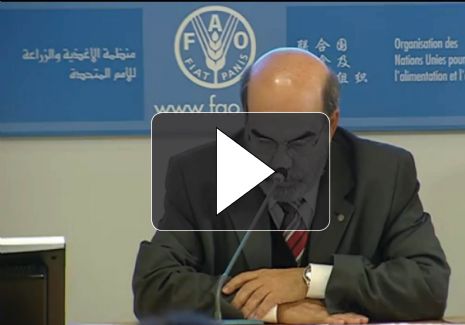 Declaraciones del nuevo Director General de la FAO