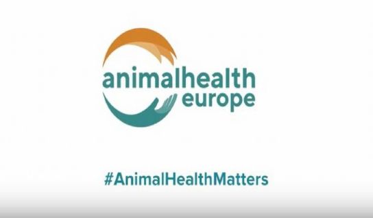 ANIMAL HEALTH