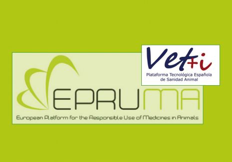 logo vetmasi y epruma