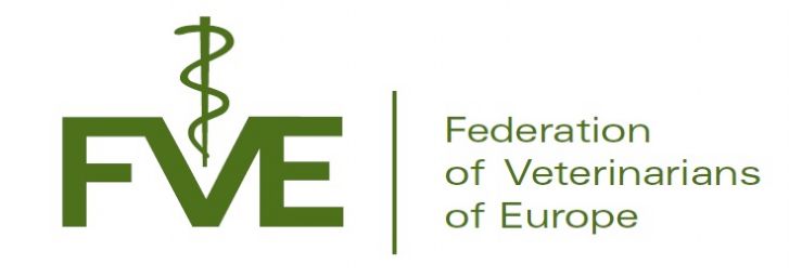 logo fve