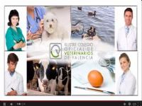 ilustre colegio de veterinarios de valencia, orgullosos de ser veterinairos